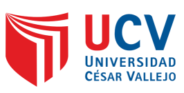 Universidad San Vicente de Paúl